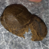 Afghan Black Hash