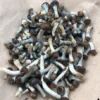 Buy Psilocybe Baecoystis 3 UK Buy Psilocybe Baecoystis Online UK